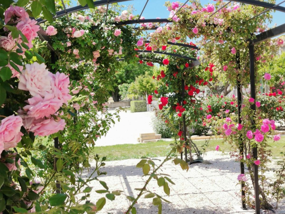En Provence Lavande Modene