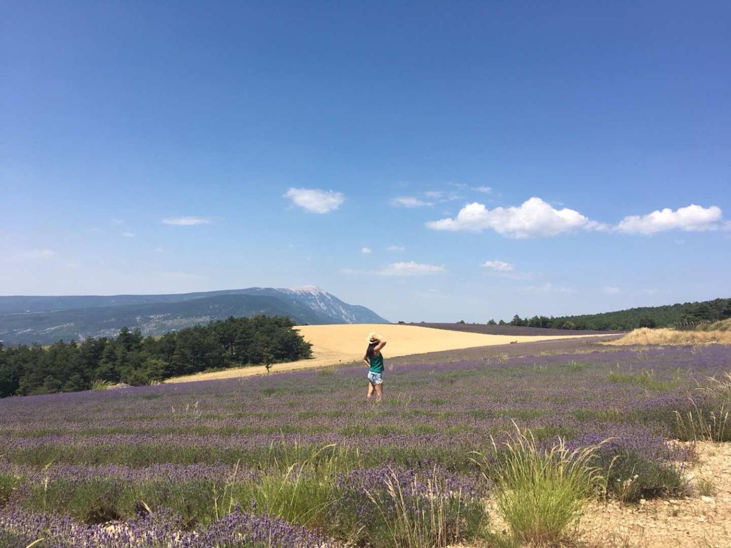 En Provence Lavande Holiday home *