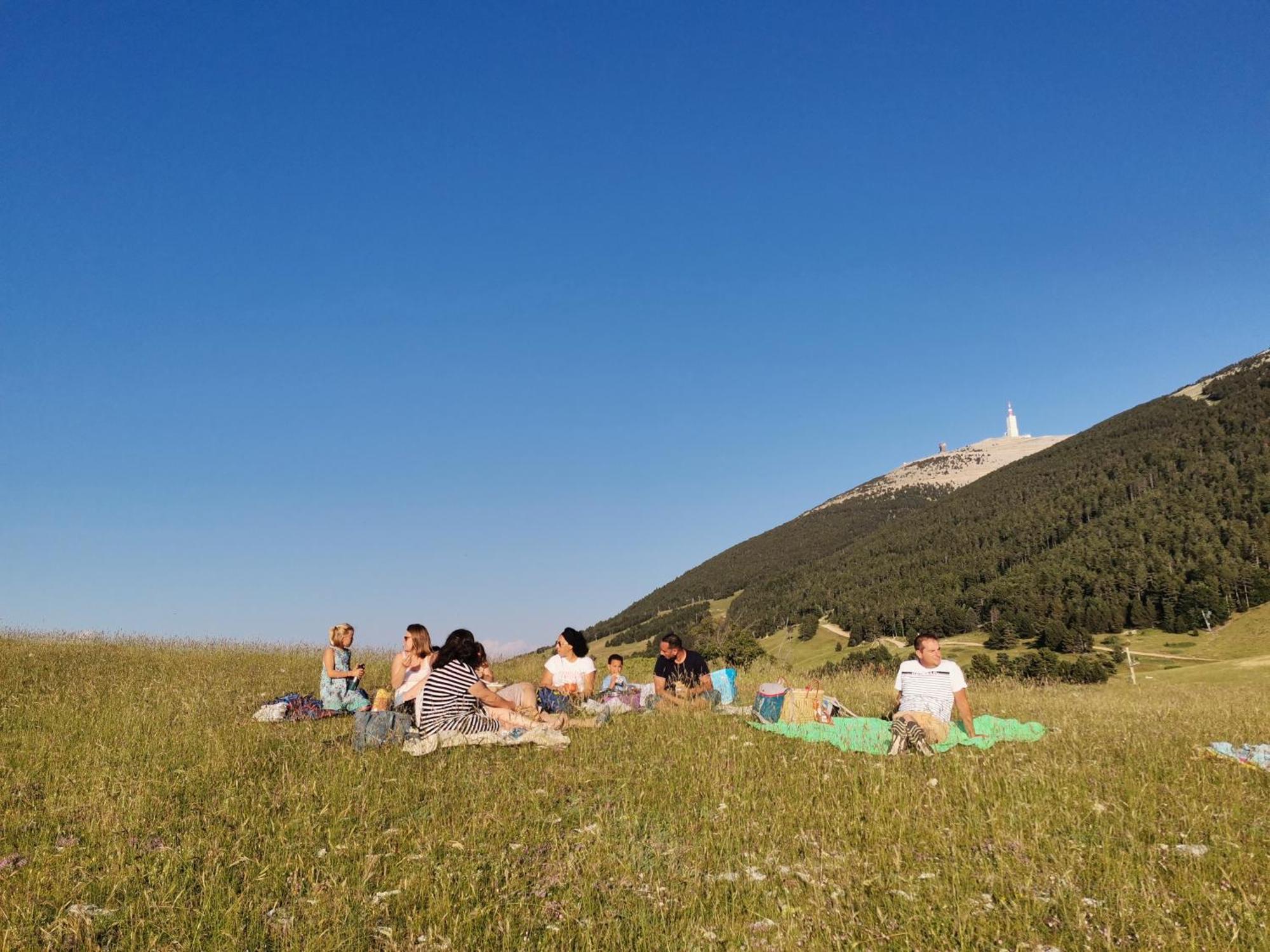 En Provence Lavande * Modene