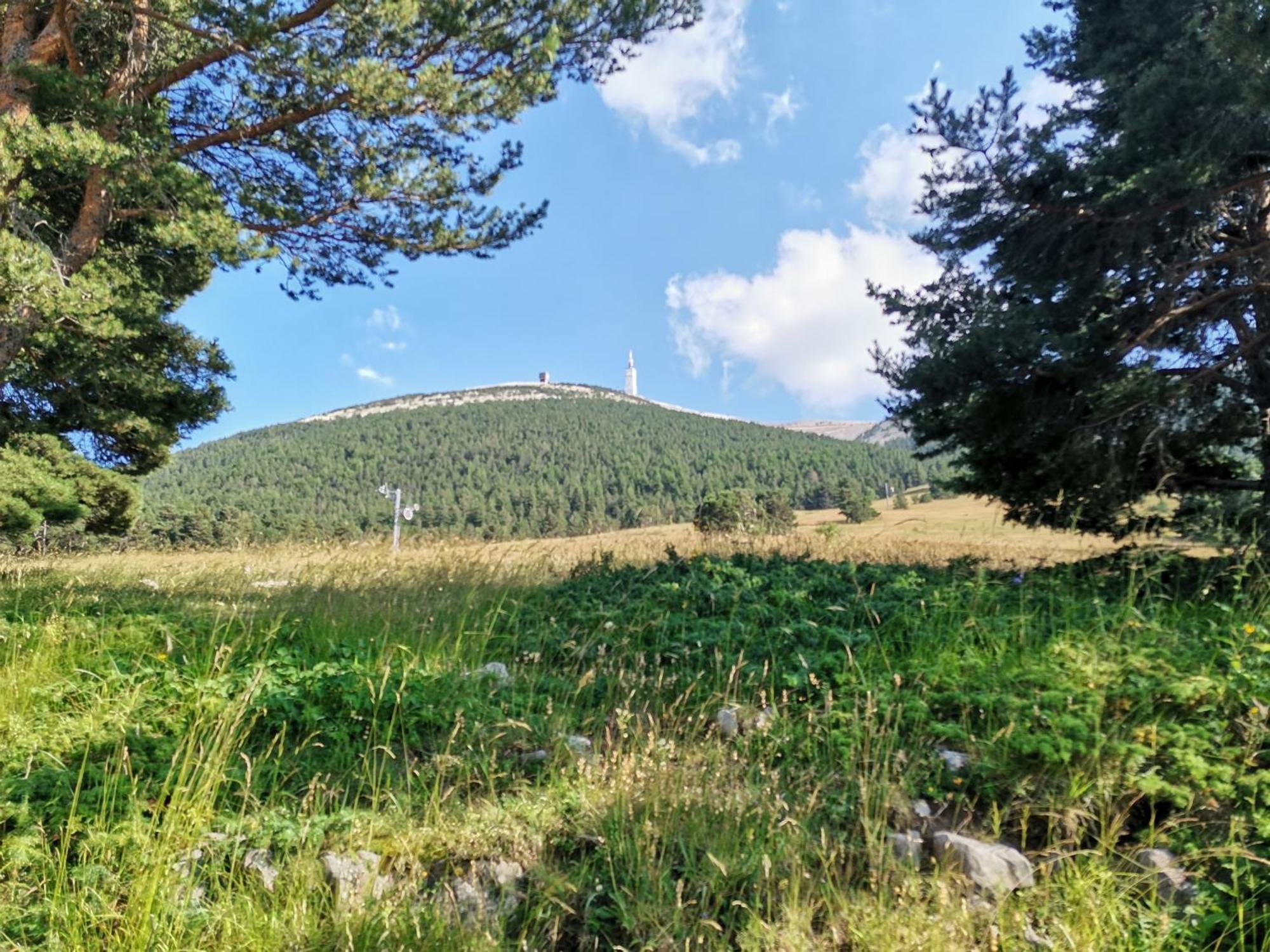En Provence Lavande Holiday home *