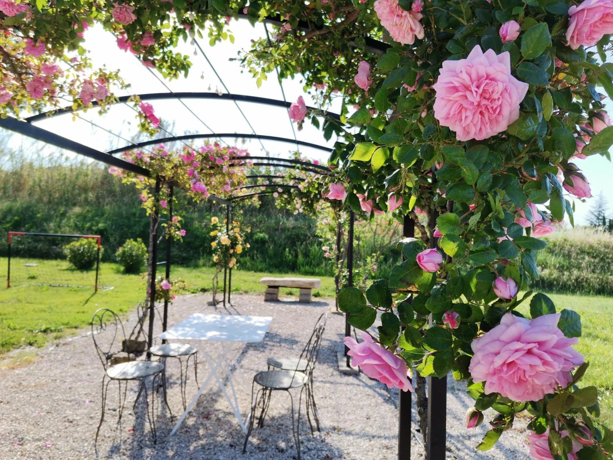Vakantiehuis En Provence Lavande Modene