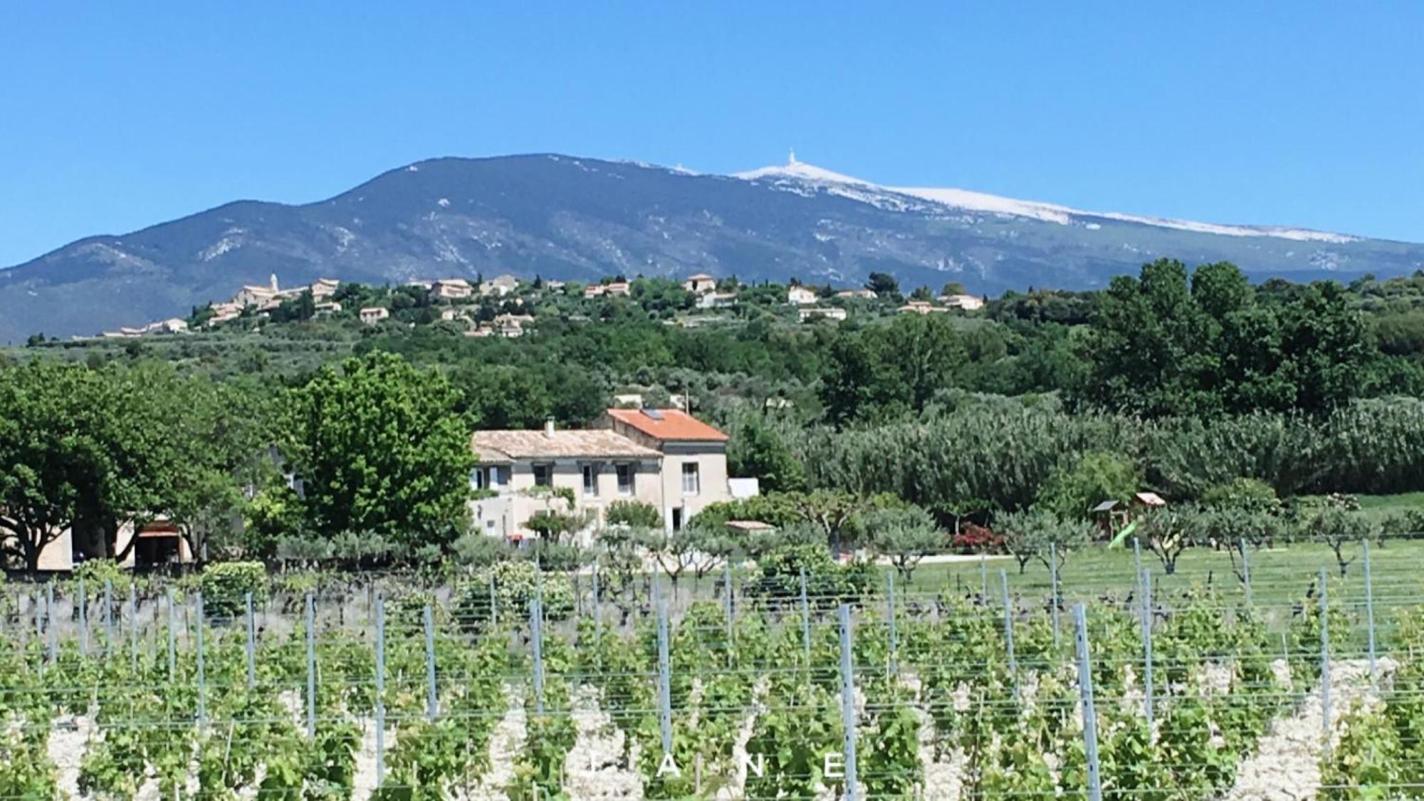 En Provence Lavande * Modene